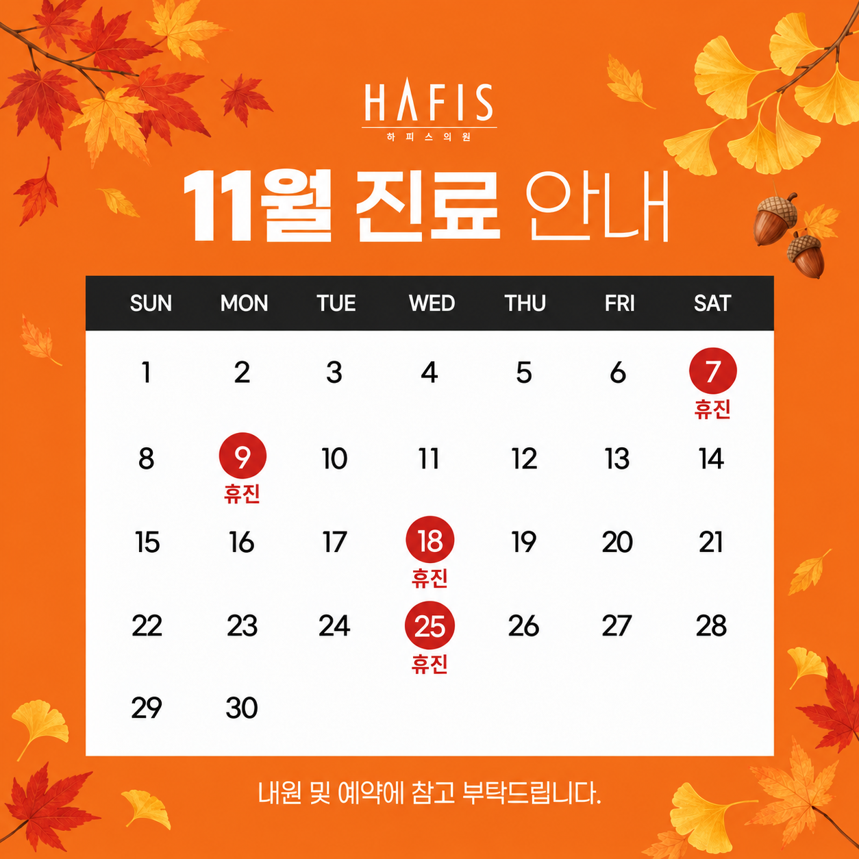 11월 진료 안내